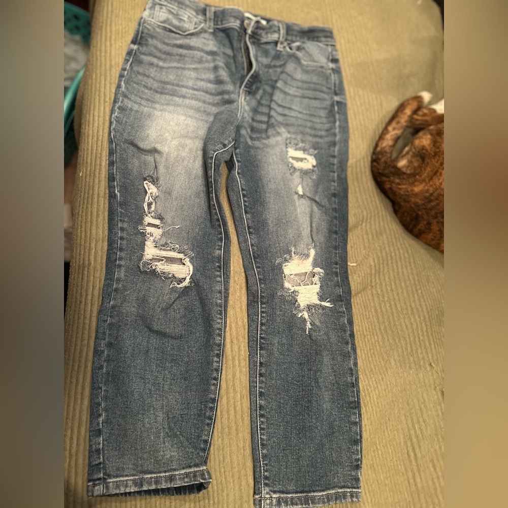 Eunina mom crop distressed Jean 13/31 NWOT